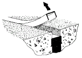 CatalogImages_12CAP__88426.1746119004.gif 1/2in x 10ft Expansion Joint Snap Cap - Image 1